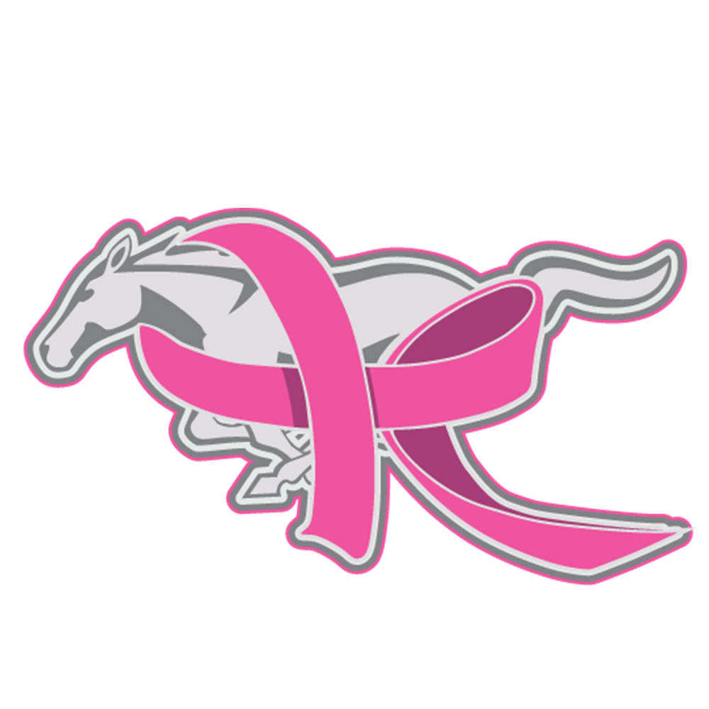 Cruise For A Cause Logo