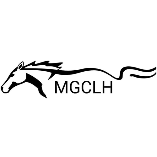 Mustangs of Greater Clear Lake and Houston Club Logo