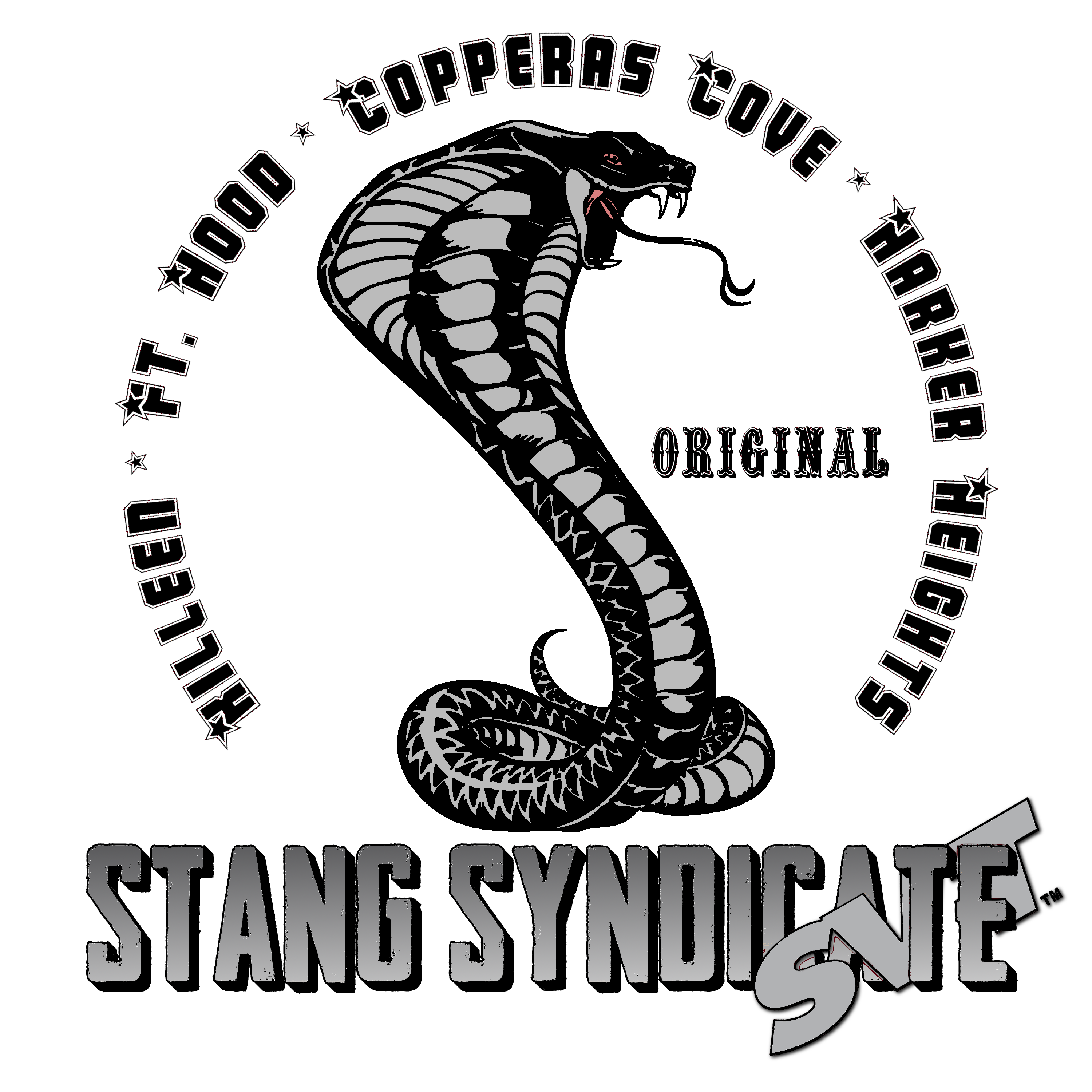 Stang Syndicate Logo - Cobra with black text circling and underneath