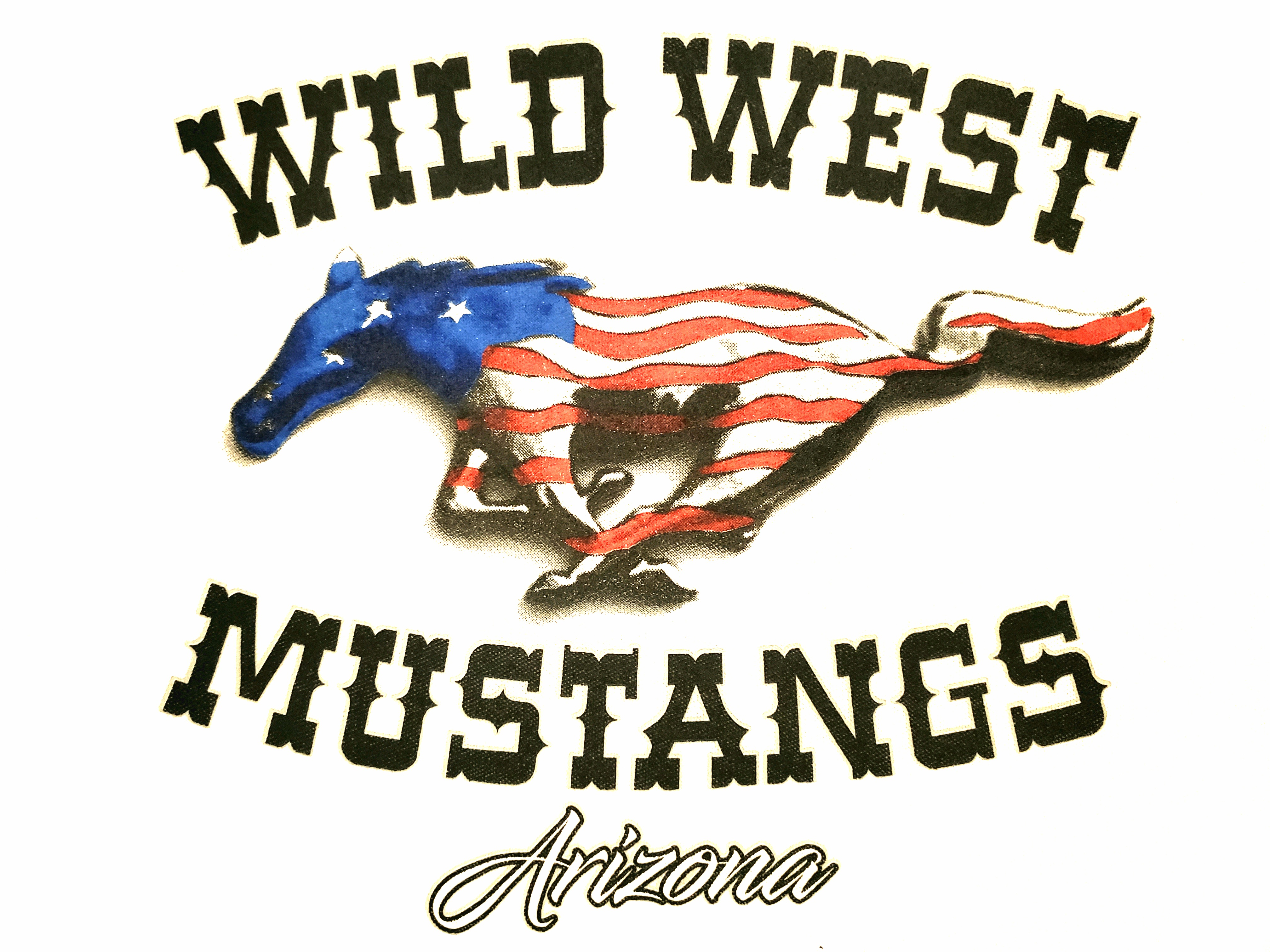 Wild West Mustangs